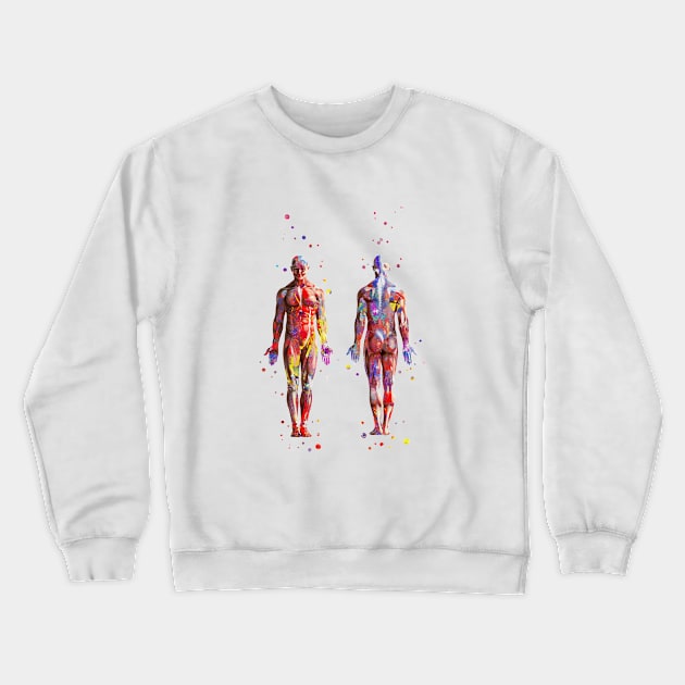 Muscular System Crewneck Sweatshirt by RosaliArt